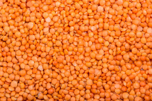 Masoor Dal